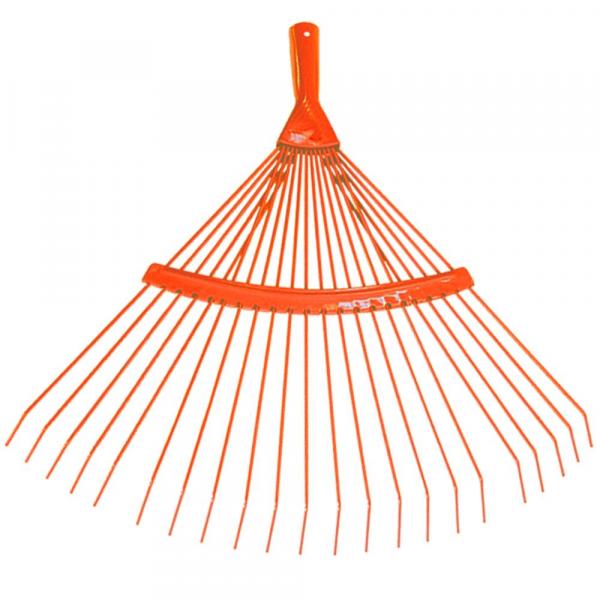 Pázsitseprű pálcás fogú